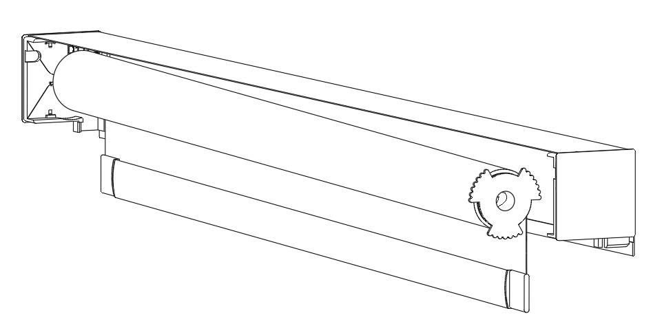 Stage 5