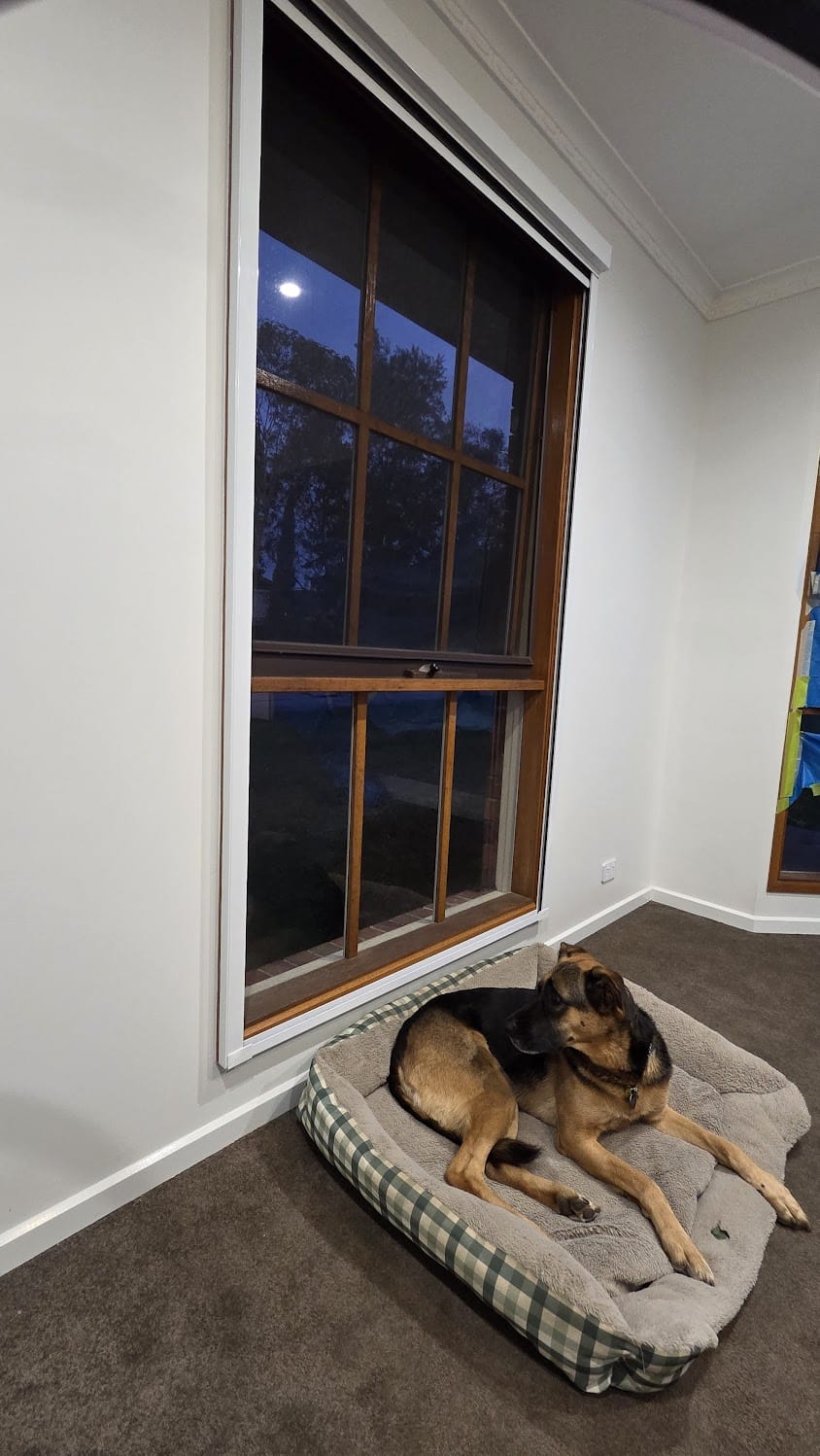 Lounge room blockout blind